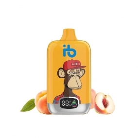 Pfirsichfruchtsaft – 12.000 Züge – Einweg-E-Zigaretten